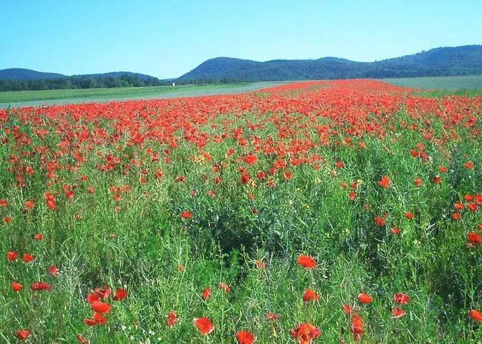 Stricker Typ E Lägenhet