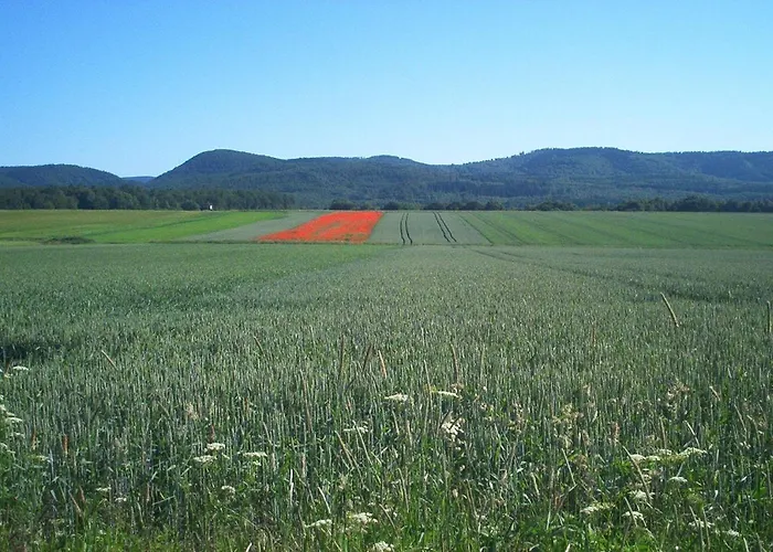 Stricker Typ E Lägenhet Bad Sachsa