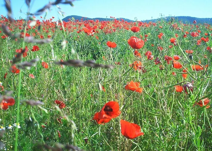 Lägenhet Stricker Typ E *
