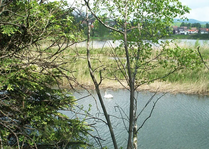 Stricker Typ E Bad Sachsa