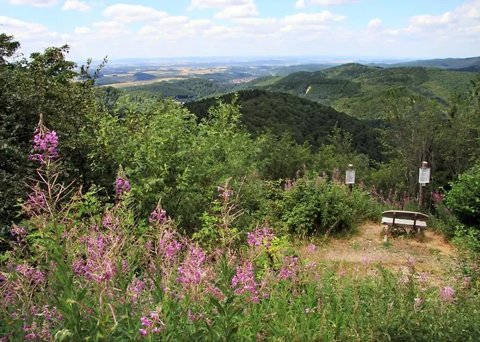 Stricker Typ E Bad Sachsa